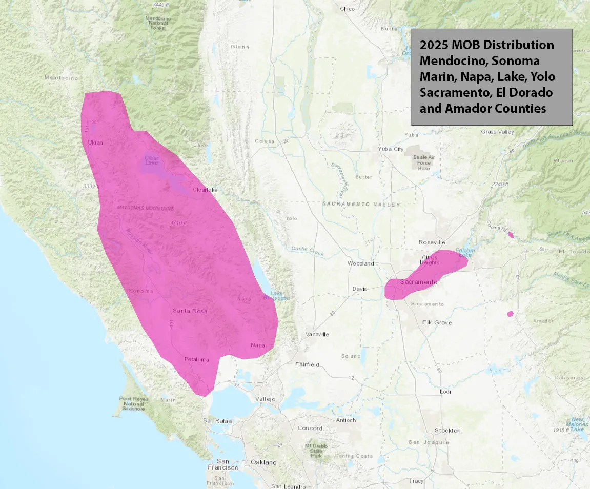 MOB continues to spread in Northern California.