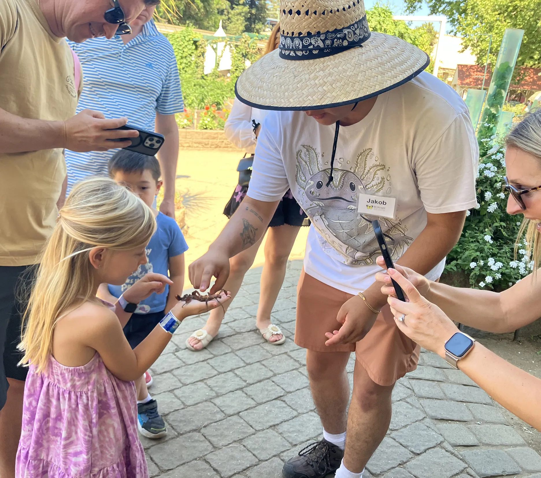 Jakob Lopez introduces a little girl to a stick insect. (Photo by Michelle Johnson)