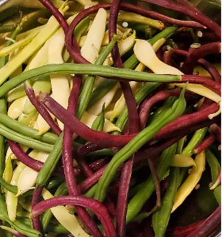 Snap beans