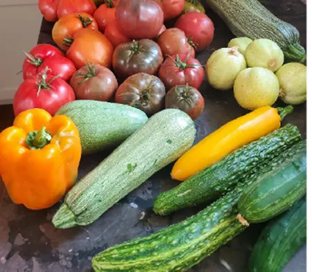 Summer veggies