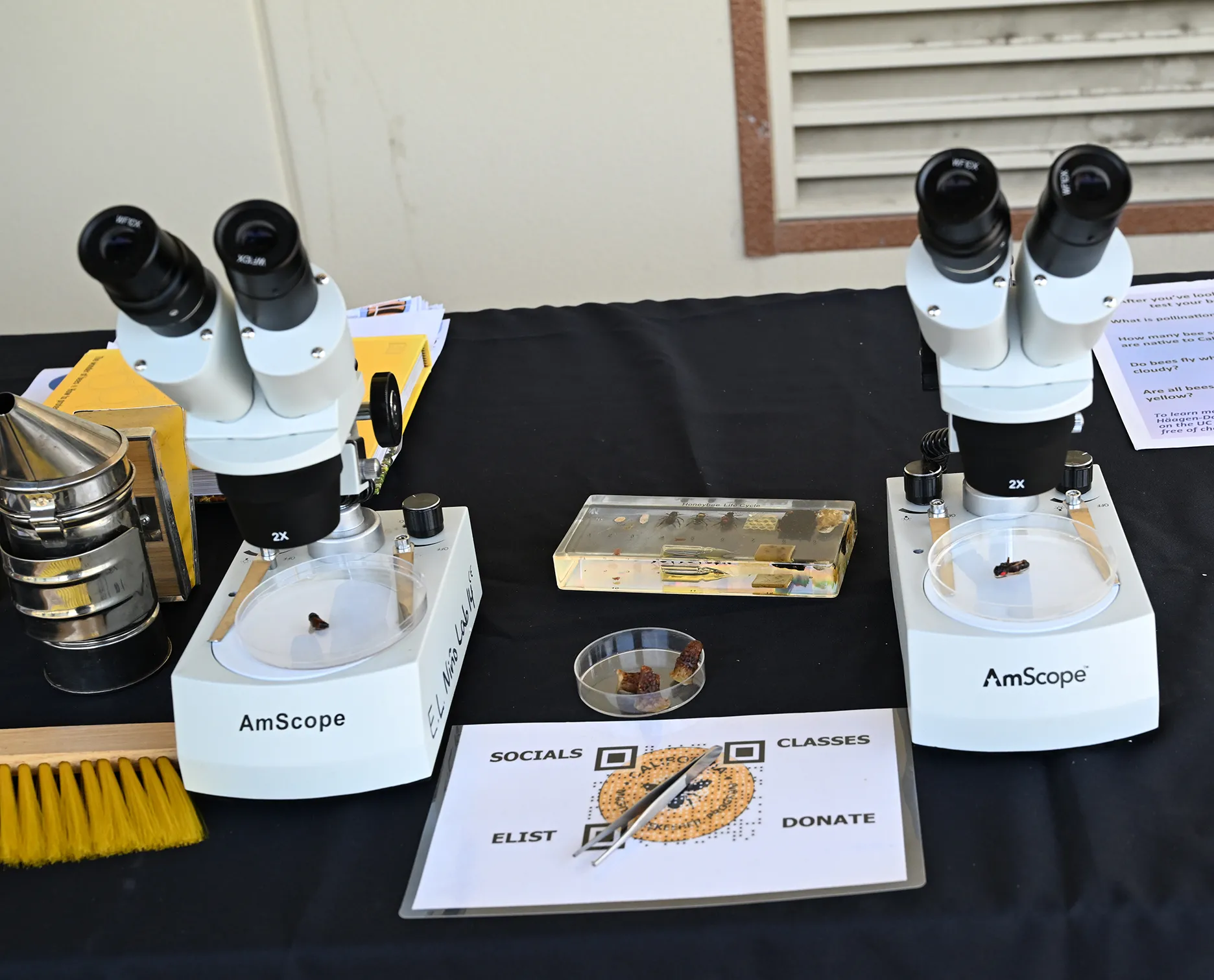 Microscopes ready for use at the Vacaville Museum Guild's Children's Party, for Vacaville children ages 3 to 9. (Photo by Kathy Keatley Garvey)