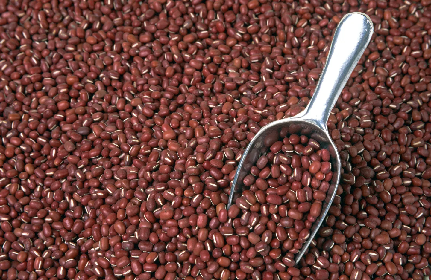 Legumes