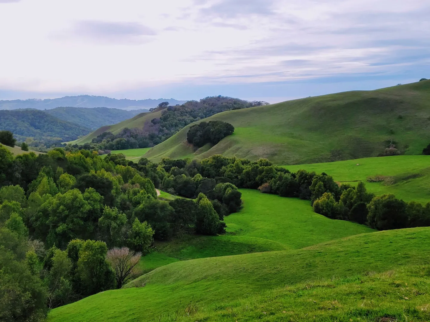 Green hills