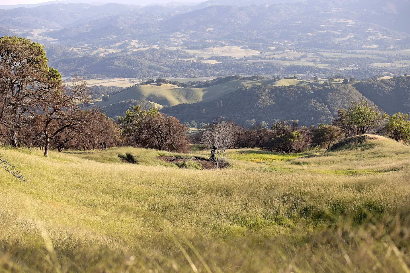 Jacob Ranch