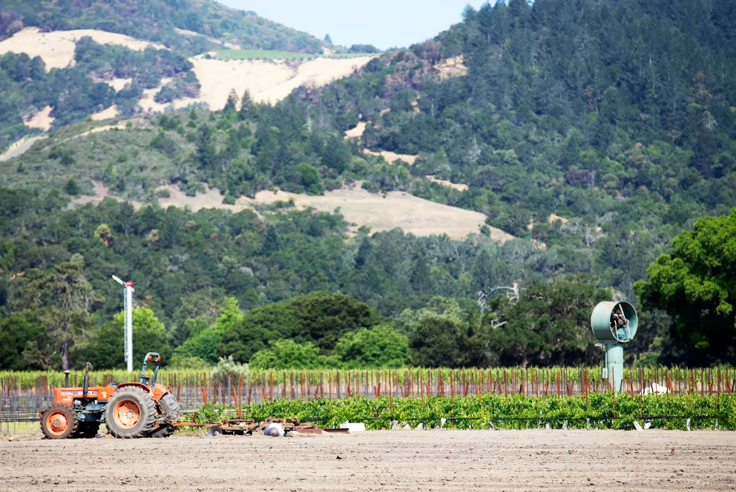 Agritourism 2