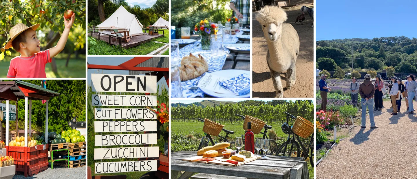 Agritourism activities photo collage