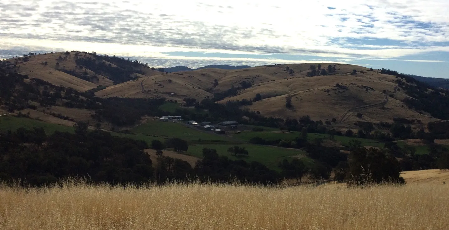 Picture of headquarters surrounded by irrigated pasture with rangeland in the back and fore ground