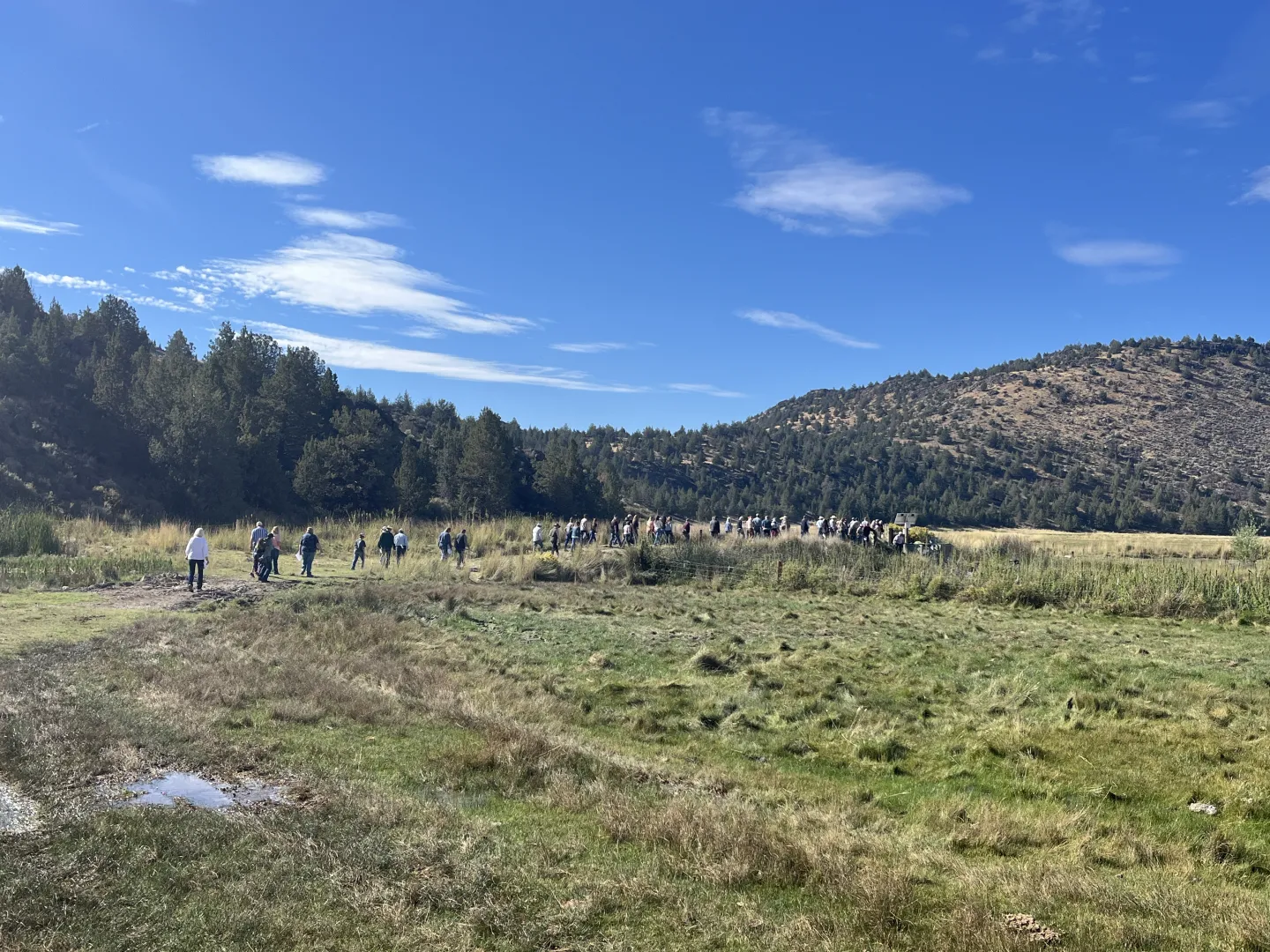 Siskiyou Extension