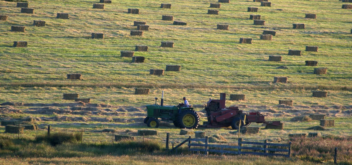 tractor with bales of hay