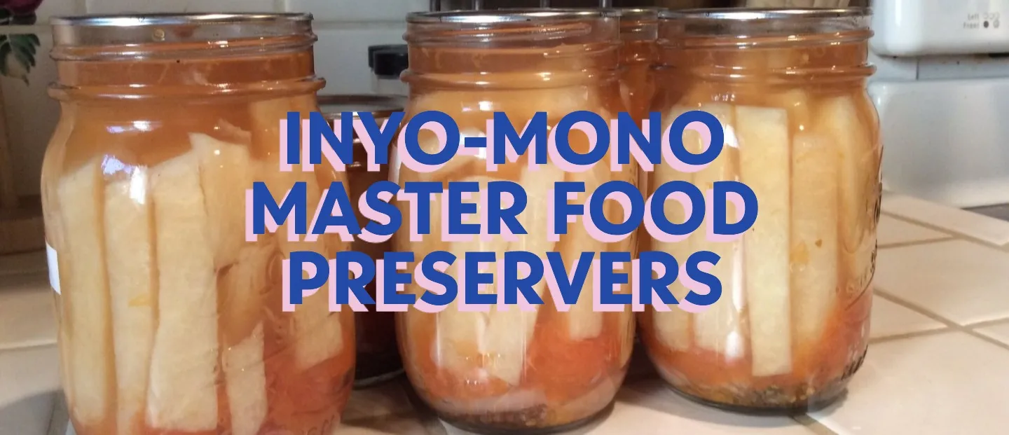 Jars of pickled jicama behind text of Inyo-Mono Master Food Preservers