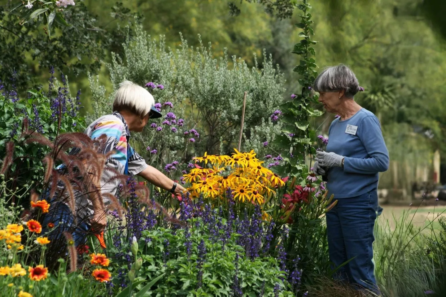 UC Master Gardeners