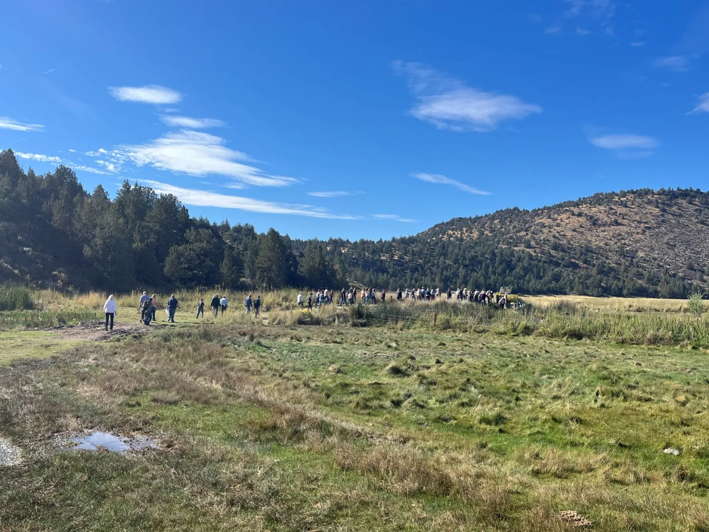 Siskiyou Extension
