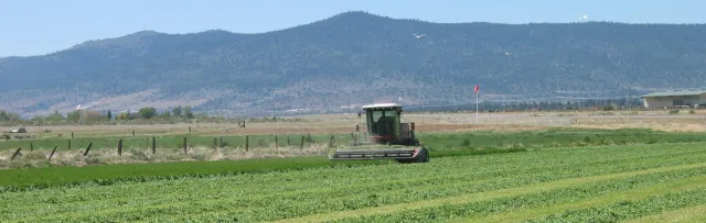 Swather