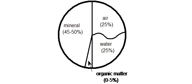 organic matter