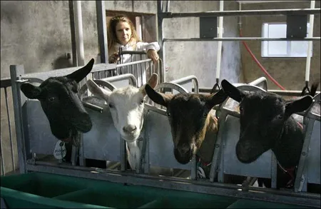 Toluma Farms
