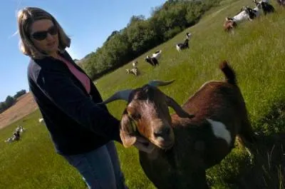 GoatFarm-2