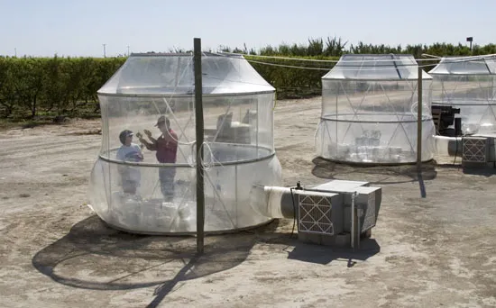 Chambers for ozone studies at the Kearney Agricultural Research and Extension Center.