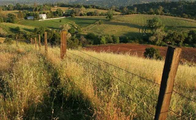 Pasture