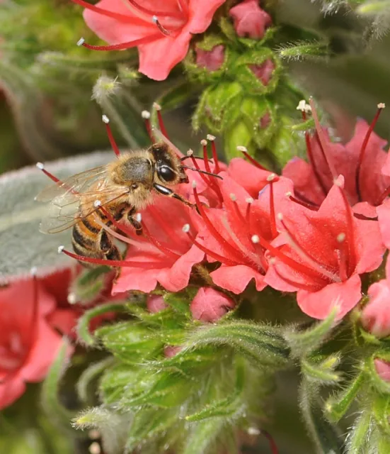 bee3570