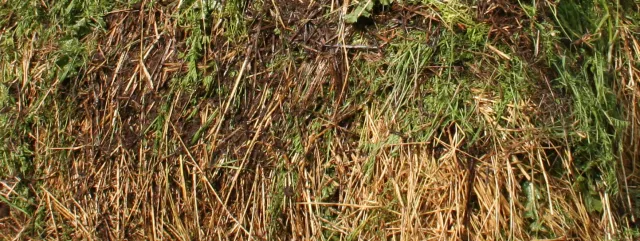 Compost4