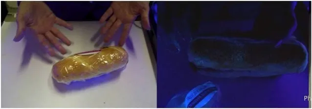 sandwich 1