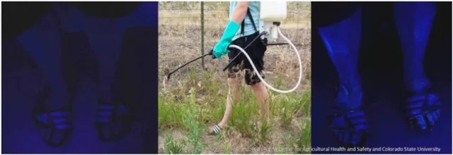 walking in weeds