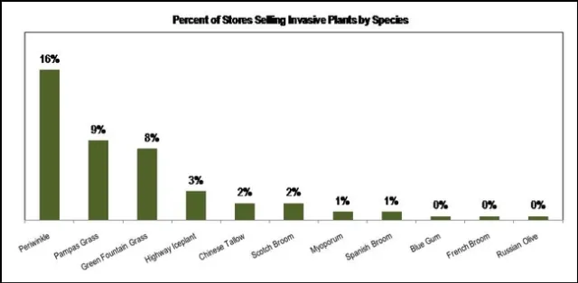 Plant species