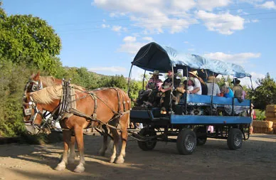 101223agritourism