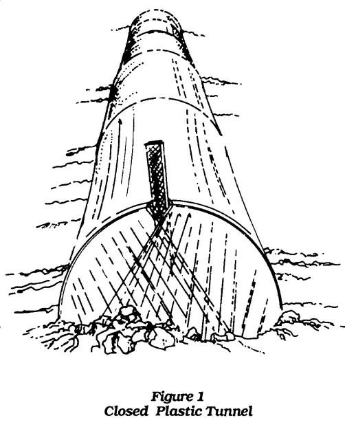 tunnel1