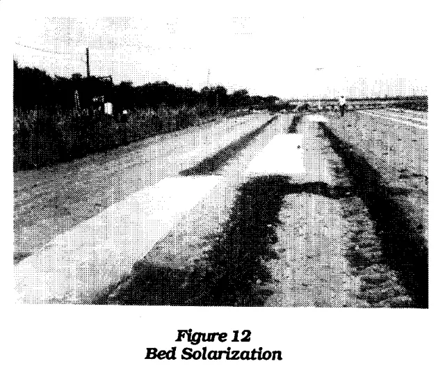 tunnel12