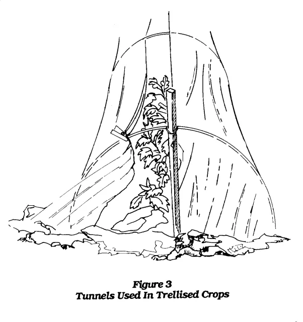 tunnel2