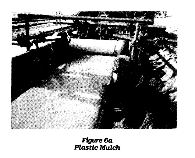 tunnel6