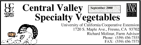 masthead
