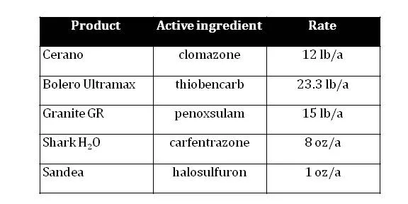 Table1