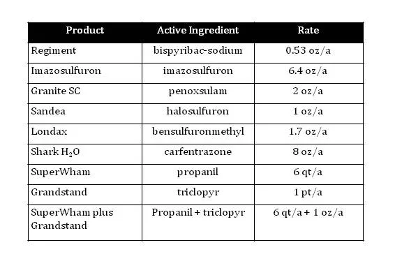 Table2