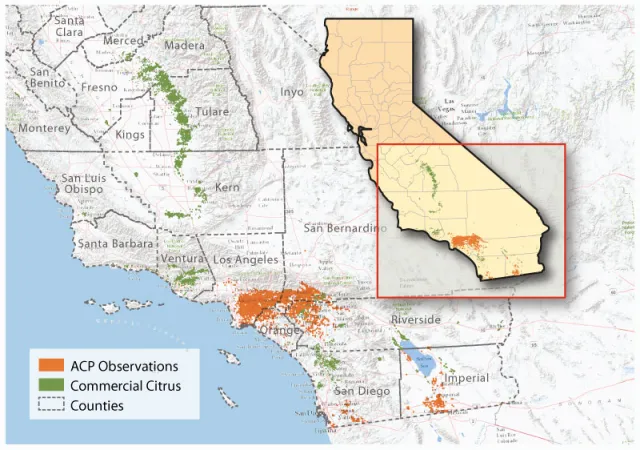 ACP map