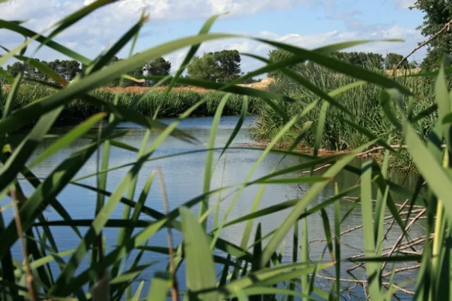 2011 pond 1 b