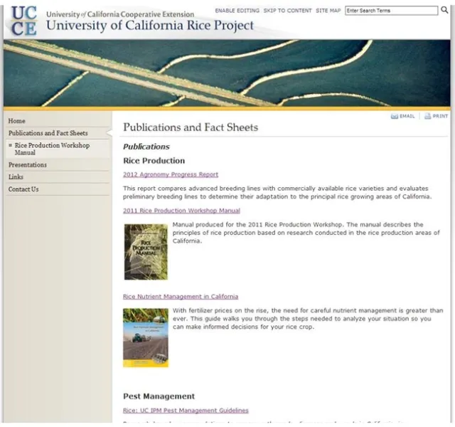 Website