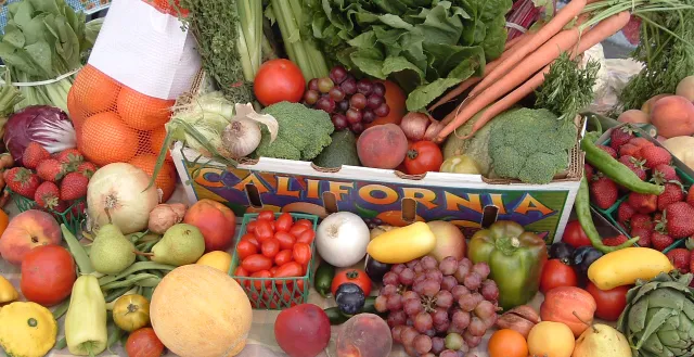 CSA produce