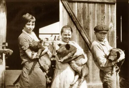 4-h3pigs