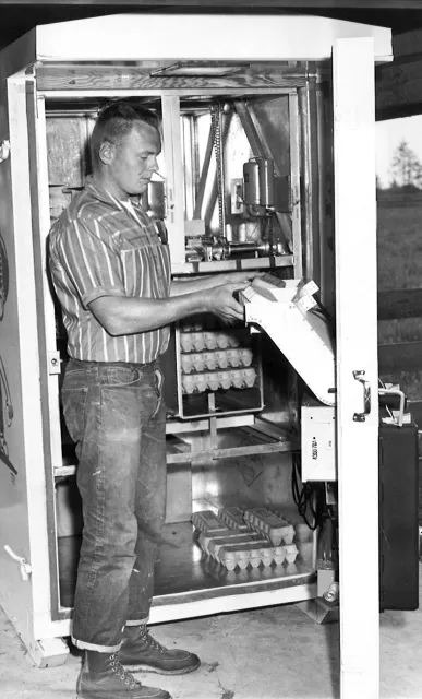 Egg vendor