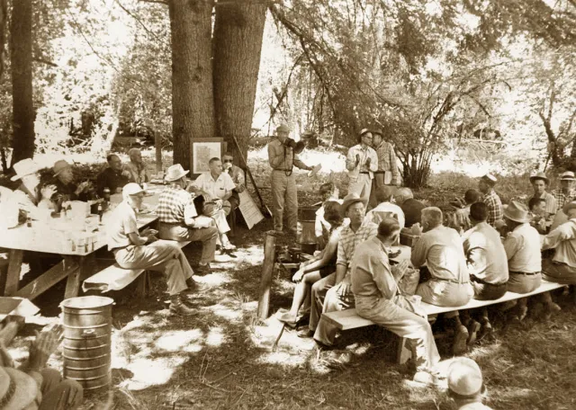 Forestry workshop