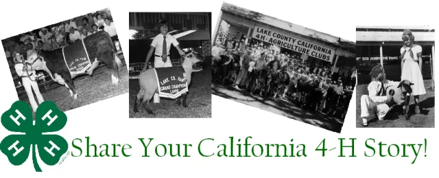 4-H Banner