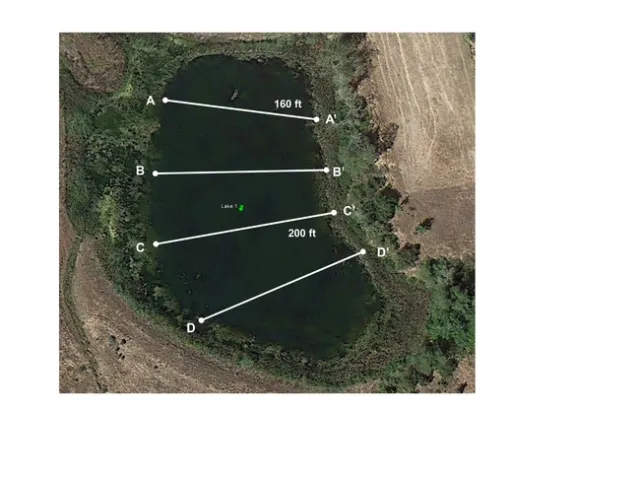 Pond