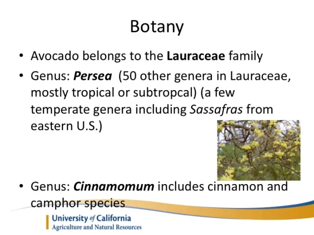 Slide06