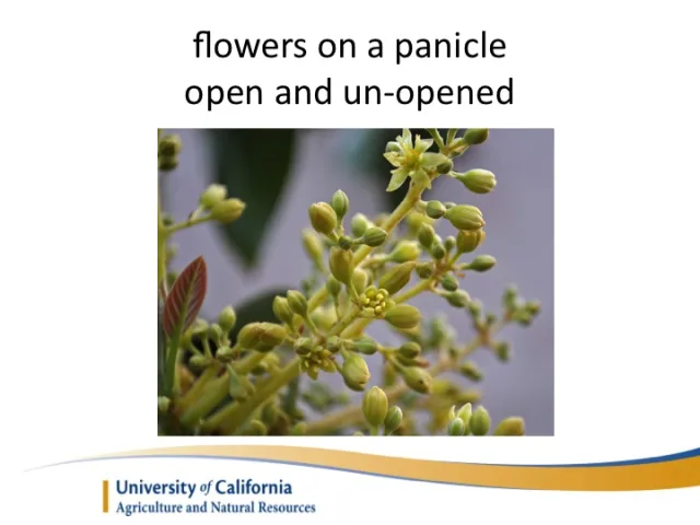Slide02