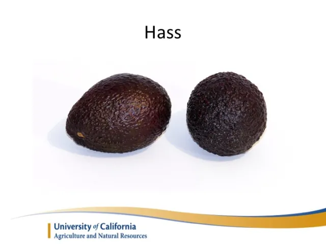 Slide09
