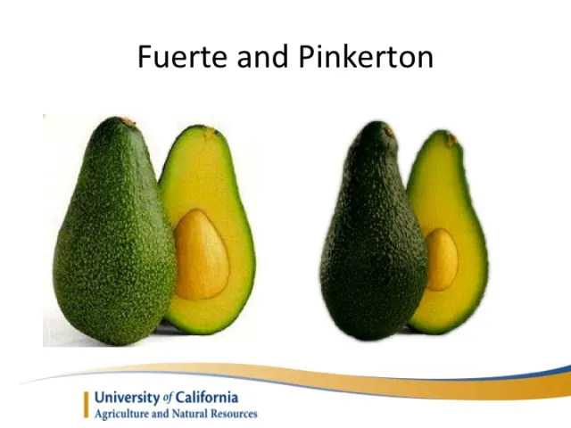 Slide10