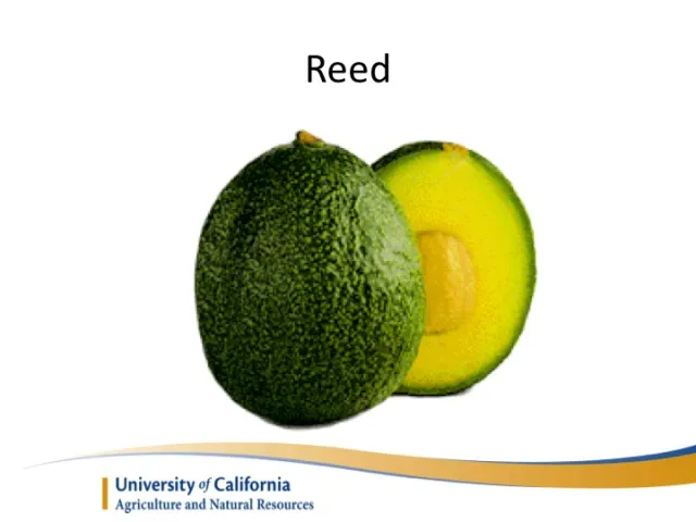 Slide11