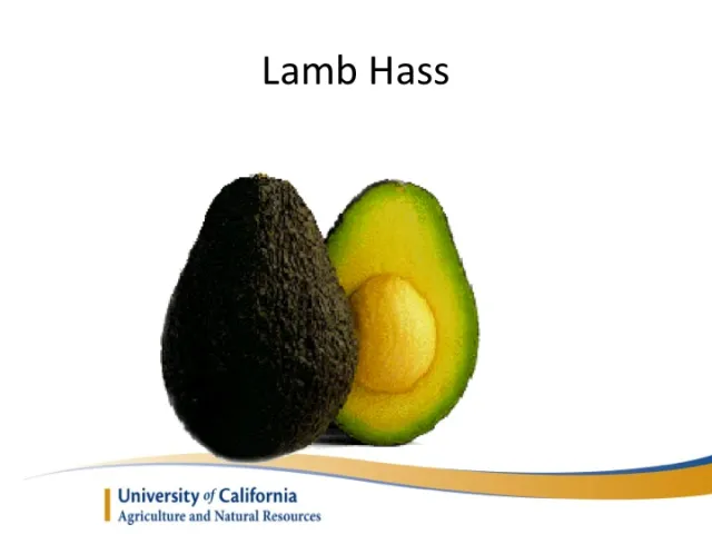 Slide12